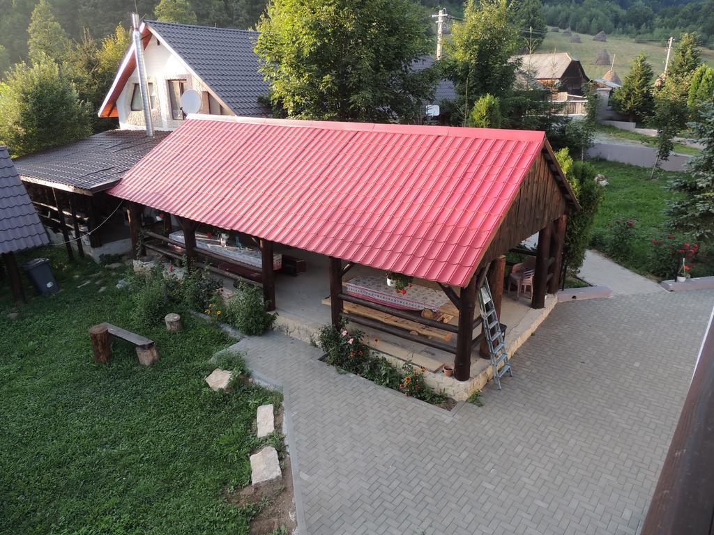 Pensiunea Steaua Nordului Vanatori  Exterior photo