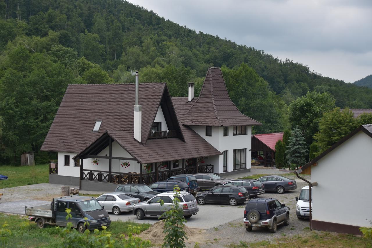 Pensiunea Steaua Nordului Vanatori  Exterior photo
