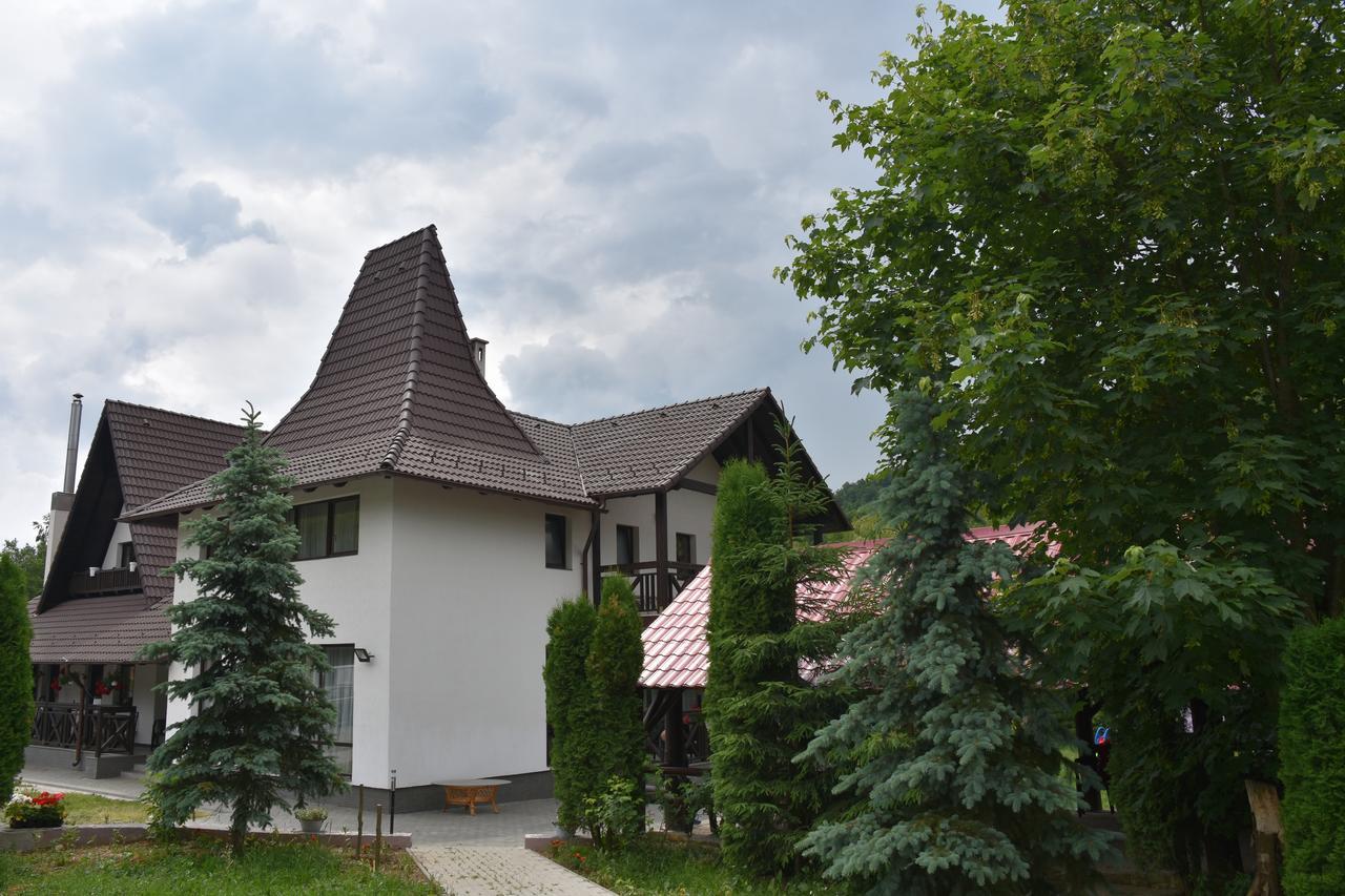 Pensiunea Steaua Nordului Vanatori  Exterior photo